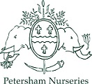 Peter Norris